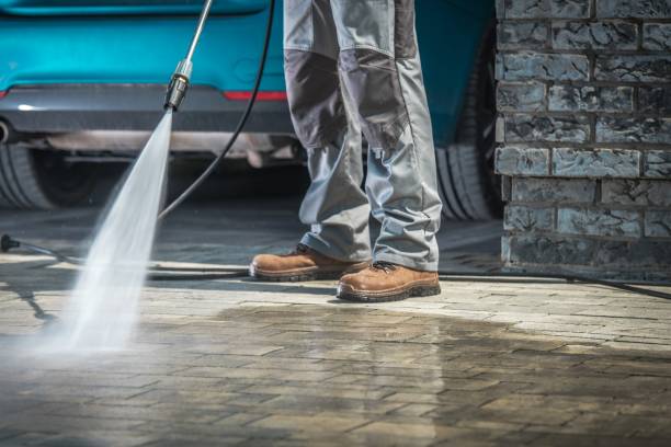 Best Soft Washing  in Albany, KY