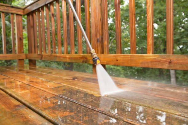 Best Sidewalk and Walkway Cleaning  in Albany, KY